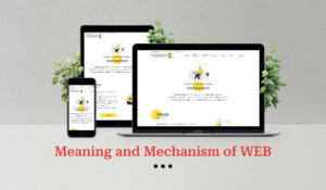 meaning-and-mechanism-of-web